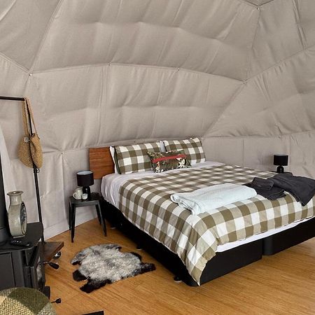 Takahuri Glamping Domes Whanganui Ngoại thất bức ảnh